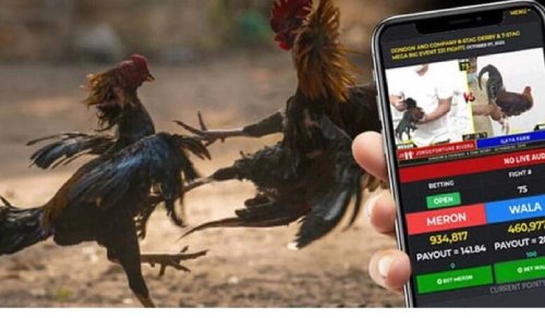 Sabong Betting in the Philippines – The Ultimate Guide